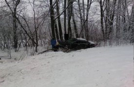 В Тульской области иномарка съехала в кювет: есть пострадавший