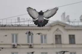 Жители Чернского района приняли участие в экологической акции