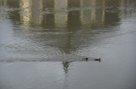 Паводок в Тульской области: угрозы ЧС пока нет