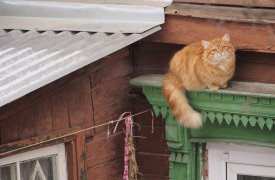 Погода на 1 апреля: в Тулу пришла настоящая весна