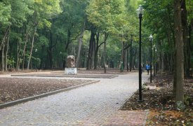 «Городской парк Рогожинский» станет особой зоной охраняемой природной территории