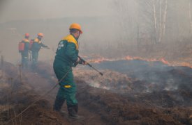В Туле начался активный пал травы: 80 выездов пожарных за сутки