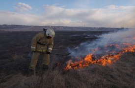 В Туле зафиксировано 143 случая пала травы
