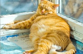 Демо-версия лета: 9 апреля в Туле потеплеет до +18°