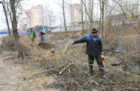 В субботнике приняли участие более 25 тысяч туляков