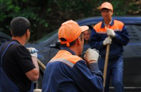 Сердобольная тулячка приютила четырёх мигрантов