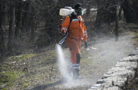 В Туле продолжается обработка территорий от клещей