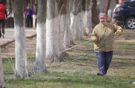 Тулу моют и красят