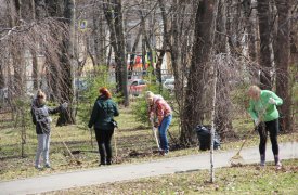 В Туле проходит масштабный субботник