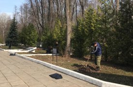 На тульских кладбищах наводят порядок
