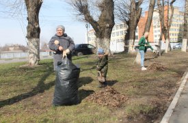 Активисты ОНФ приняли участие в озеленении Тулы