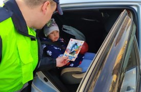 «Без вас не получится!»: сотрудники госавтоинспекции объяснили тульским водителям, как правильно перевозить детей