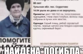 Пропавшую в Туле пенсионерку насмерть сбила машина