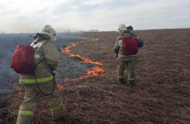 В деревне Нижняя Китаевка в Туле выгорело поле