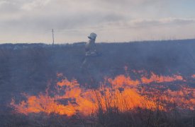 В Тульской области объявили четвертый уровень пожароопасности
