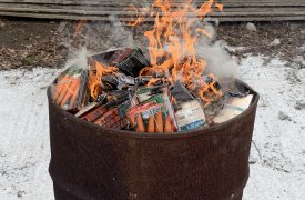 Россельхознадзор уничтожил крупную партию зараженной моркови