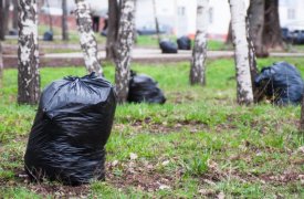 В Туле начался третий городской субботник
