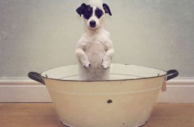 Где в Туле отключат воду 16 мая?