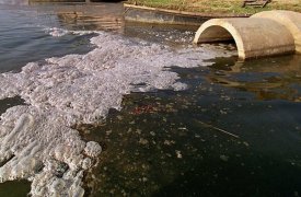 Тульская природоохранная прокуратура провела проверку по факту загрязнения Упы