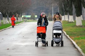 Аномально холодный август ждет туляков