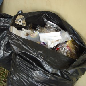 Туляков поймали с поличным за незаконный выброс мусора