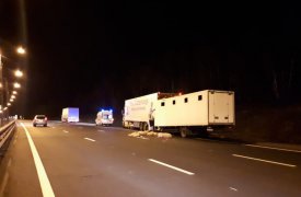 «Животное» ДТП в Тульской области: водитель погиб, а поросят раскидало по трассе
