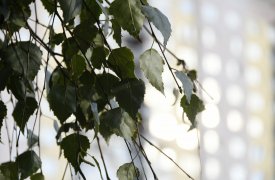 Погода в Туле на вторник, 15 октября: +14 и солнечно