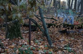 В Туле на Всехсвятском кладбище деревья портят могилы
