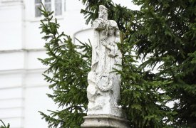 На Всехвятском кладбище в Туле срубят 170 деревьев