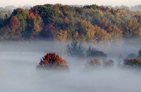 Метеопредупреждение по туману объявлено в Тульской области
