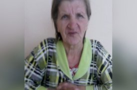 Разыскивается пропавшая 68-летняя женщина. Может находиться в Тульской области