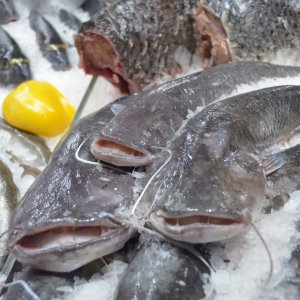 «С душком»: в Тульской области забраковали более 1 тонны некачественной рыбы