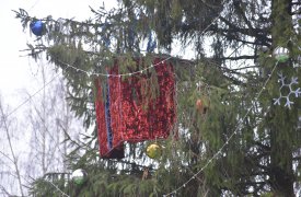 В Туле откроют 33 елочных базара