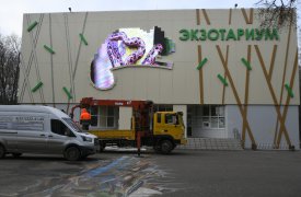 На здании тульского экзотариума установили монитор в виде хамелеона