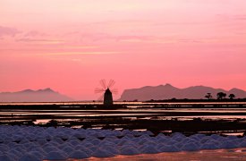 В Туле откроется фотовыставка итальянской художницы Франки Кионо