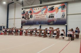 В Туле проходят межрегиональные соревнования по спортивной гимнастике