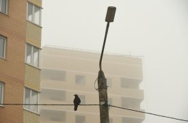 МЧС предупредило туляков о тумане