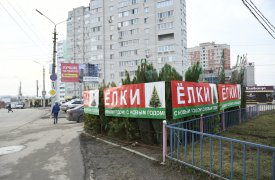 Туляки жалуются на ёлочный базар возле областной больницы