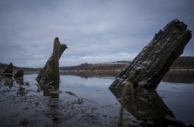 В Тульской области в Оке обнаружили затонувшее в XX веке деревянное судно