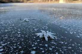 Тульские сотрудники МЧС: толщина льда на водоемах области неоднородна