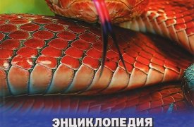 21 том «Детской энциклопедии» – «Змеи» уже в продаже!