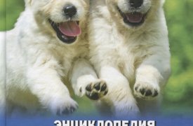 22 том «Детской энциклопедии» – «Собаки и щенки» уже в продаже!