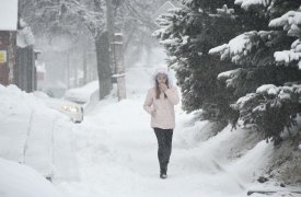 Какая погода ждет туляков в первый день февраля