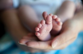В Тульской области смертность превышает рождаемость в два раза