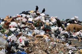 В Тульской области прокуратура добилась ликвидации незаконной свалки