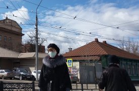 Пятеро заболевших и 715 туляков находятся под наблюдением на наличие коронавируса