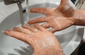 В Туле молодые семьи активно поддержали флешмоб #мойрукиТула