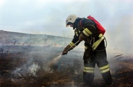 За поджог травы туляков ждет штраф до 200 тыс рублей