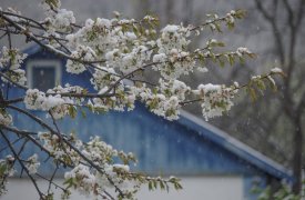 1 апреля туляков ждет мини-потеплене