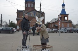 Погода в Туле на Благовещение: +9, ветер умеренный